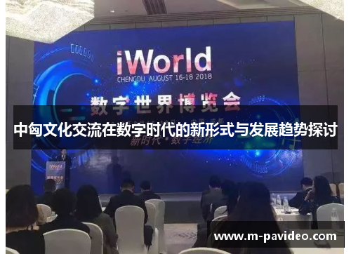 中匈文化交流在数字时代的新形式与发展趋势探讨