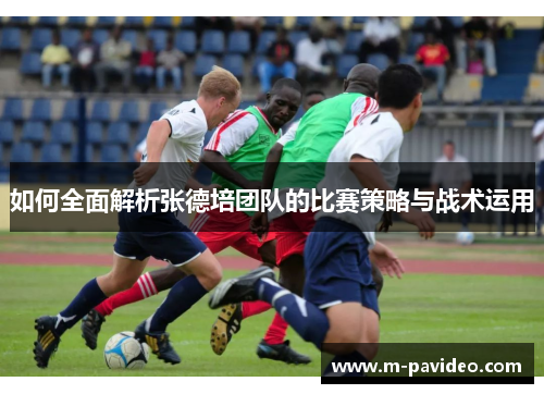 如何全面解析张德培团队的比赛策略与战术运用