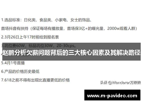 赵鹏分析欠薪问题背后的三大核心因素及其解决路径