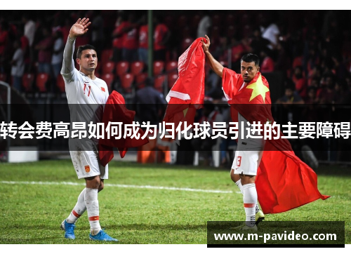 转会费高昂如何成为归化球员引进的主要障碍