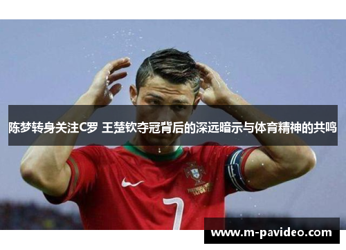 陈梦转身关注C罗 王楚钦夺冠背后的深远暗示与体育精神的共鸣