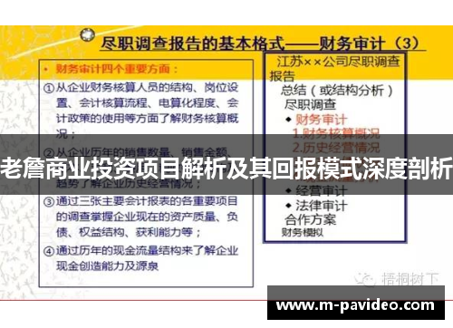 老詹商业投资项目解析及其回报模式深度剖析